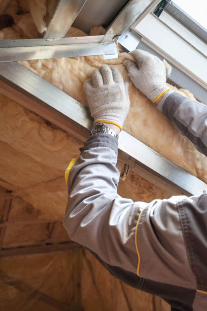 Best Insulation Contractors for Homes  in Homeland, CA