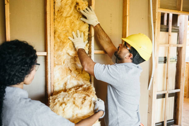 Best Insulation Inspection Services  in Homeland, CA